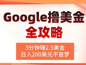 3分钟赚2.5美金,日入200美元不是梦,揭秘Google广告撸美金全攻略