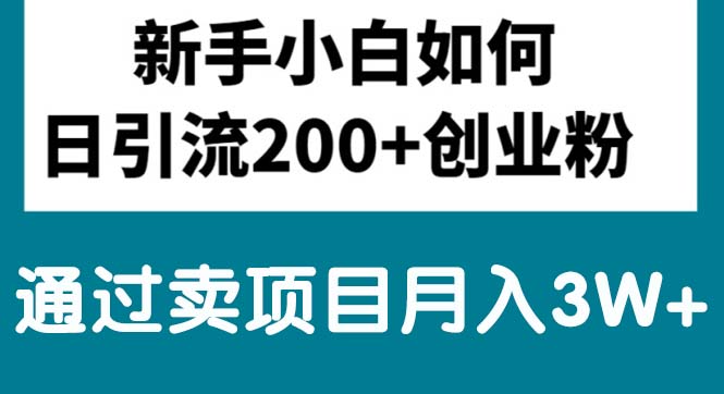 (10843期)新手入门日引流方法200 自主创业粉,根据卖项目月入3W