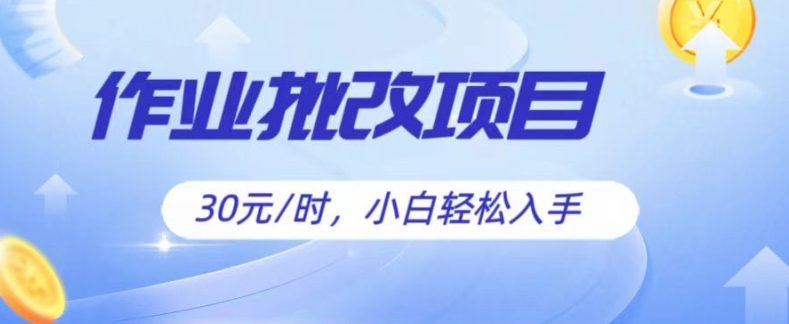 批改作业项目,30元时,简单容易上手,适合宝妈,大学生