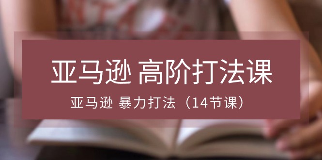 亚马逊平台 高级玩法课,亚马逊平台 暴力行为玩法(14堂课)