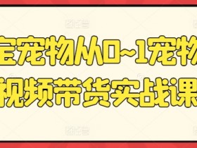 元宝宠物从0~1宠物短视频带货实战课