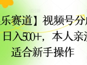【娱乐赛道】视频号分成计划,日入500+,本人亲测,适合新手操作
