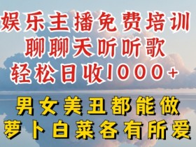 娱乐主播免费培训聊聊天听听歌轻松日收1K+,男女美丑都能做萝卜白菜各有所爱【揭秘】