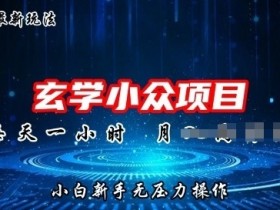 2024年新版玄学小众玩法项目,零门槛高利润,新手小白无压力操作
