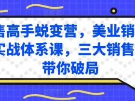 销售高手蜕变营,美业销售高手实战体系课,三大销售体系带你破局