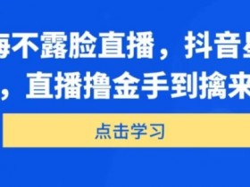 海外赶海不露脸直播,抖音星图新玩法,直播撸金手到擒来