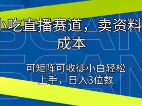 小吃直播赛道,卖资料0成本,可矩阵可收徒小白轻松上手