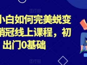 外贸小白如何完美蜕变行业销冠线上课程,初出门0基础