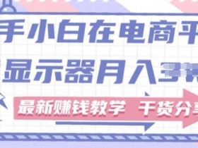 新手小白如何做到在电商平台卖显示器,最新赚钱教学干货分享