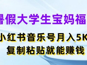 暑假大学生宝妈福利,小红书音乐号月入5000+,复制粘贴就能赚钱【揭秘】