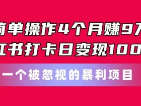 简单操作4个月赚9w,小红书打卡日变现1k,一个被忽视的暴力项目【揭秘】