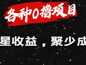 各种0撸项目零星收益,聚少成多