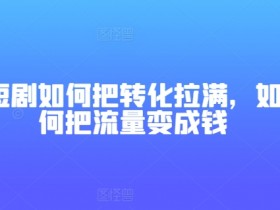 短剧如何把转化拉满,如何把流量变成钱