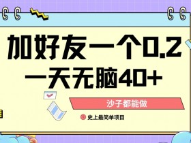 加好友0.2一单,单号单日40+,适合新手小白