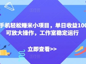 闲置手机轻松赚米小项目,单日收益100+,可放大操作,工作室稳定运行