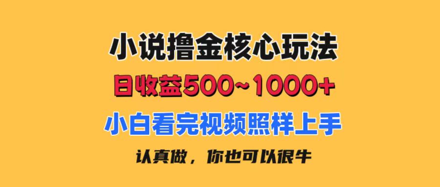 (11461期)小说撸金核心玩法,日收益500-1000+,小白看完照样上手,0成本有手就行