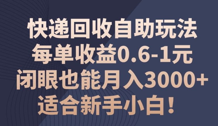 快递回收自助玩法,每单收益0.6-1元,闭眼也能月入3000+!适合新手小白!