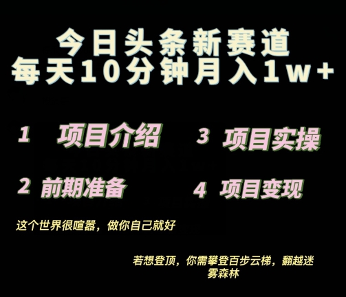 2024最新今日头条小赛道,0投入易上手