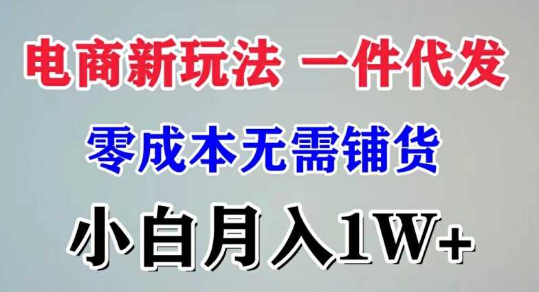 电商新玩法 一件代发,零成本无需铺货,小白月入1W+