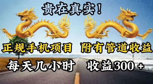 正规手机项目,附有丰富的管道收益,每天几小时,收益300