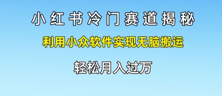 小红书冷门赛道揭秘,利用小众软件实现无脑搬运,轻松月入过万