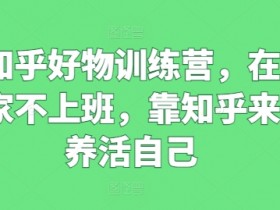 知乎好物训练营,在家不上班,靠知乎来养活自己