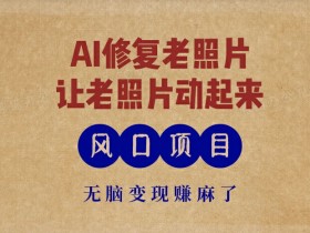 最新风口项目,AI一键修复老照片,让老照片动起来,接单到手软,无脑变现赚麻了