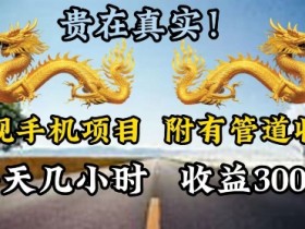 正规手机项目,附有丰富的管道收益,每天几小时,收益300