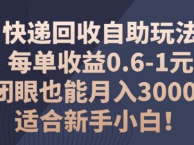 快递回收自助玩法,每单收益0.6-1元,闭眼也能月入3000+!适合新手小白!