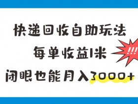 快递回收自助玩法,每单收益1米,闭眼也能月入3000+