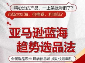 亚马逊蓝海趋势选法,全新选品思维,玩转信息差