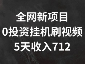 全网新项目,0投资挂JI刷视频,5天收益几张
