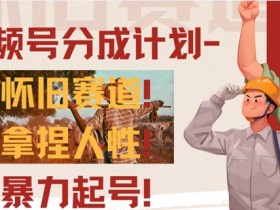 视频号分成计划-怀旧赛道,原创技术,暴力起号
