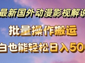 最新国外动漫影视解说,批量下载自动翻译,小白也能轻松日入500+【揭秘】