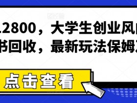 月入12800,大学生创业风向标,二手书回收,最新玩法保姆及教学