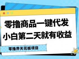 零撸商品一键代发,第二天就有收益,小白后期也能有每天几十块的收益