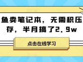 闲鱼卖笔记本,无需积压库存,半月搞了2.9w