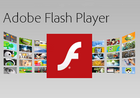 Flash Player(Flash插件) v34.0.0.317 纯净版