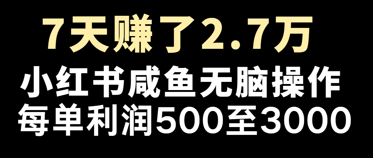 七天挣了2.7万!每单利润至少500 ,轻轻松松月入5万 新手有手就行