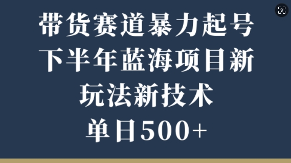 带货赛道暴力起号,下半年蓝海项目,新玩法新技术,单日500+