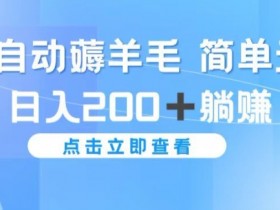 全自动薅羊毛项目 简单无脑 日入2张+躺赚