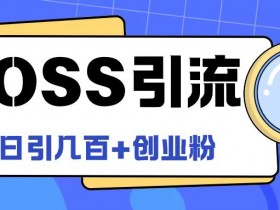 Boss直聘引流创业粉最新玩法日引100+创业粉【揭秘】