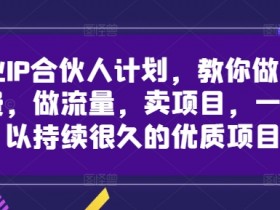 创业IP合伙人计划,教你做知识付费,做流量,卖项目,一个可以持续很久的优质项目