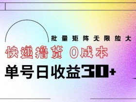 快递撸货 0成本 单号日收益30+ 批量矩阵可无限放大