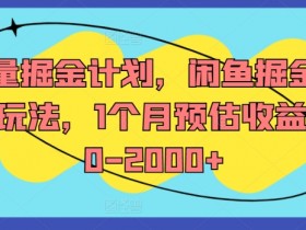 流量掘金计划,闲鱼掘金全案玩法,1个月预估收益500-2000+