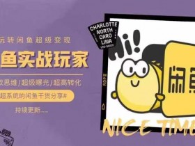 从0到1系统玩转闲鱼变现,教你核心选品思维,提升产品曝光及转化率