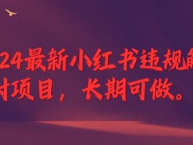 2024最新小红书违规解封项目,长期可做,一个可以做到退休的项目【揭秘】