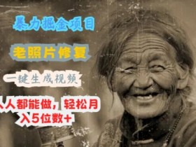 最新暴力掘金项目 老照片修复,一键生成动态视频,人人都能做,轻松月入5位数+