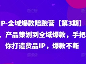 货品IP全域爆款陪跑营【第3期】赛道选择、产品策划到全域爆款,手把手教你打造货品IP,爆款不断