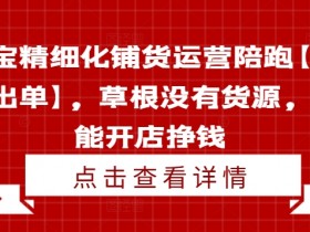 淘宝精细化铺货运营陪跑【快速出单】,草根没有货源,也能开店挣钱
